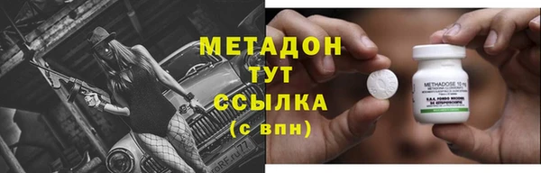 сатива Новодвинск