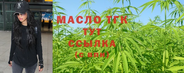 сатива Новодвинск