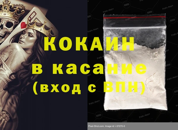 сатива Новодвинск
