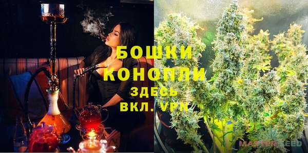 сатива Новодвинск