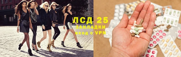 прущие грибы Новокубанск