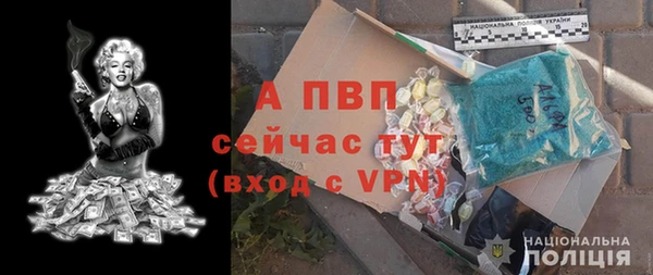 apvp Арсеньев